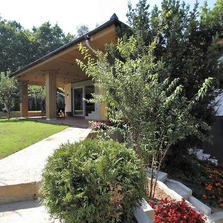 Holiday Wood & Green Σαράγεβο